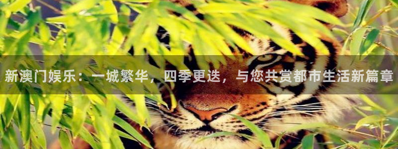 百达娱乐