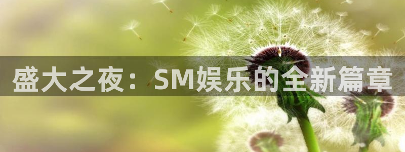 百达娱乐