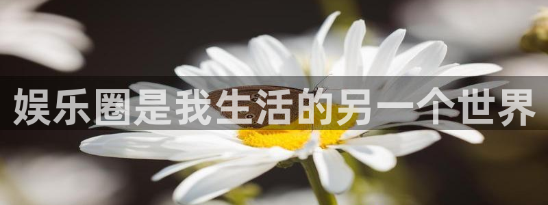 百达娱乐