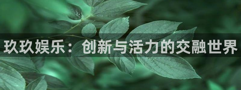 百达娱乐