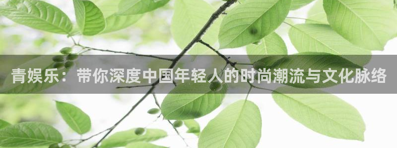 百达娱乐