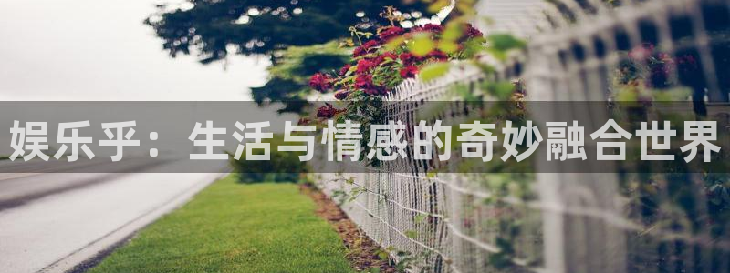 百达娱乐