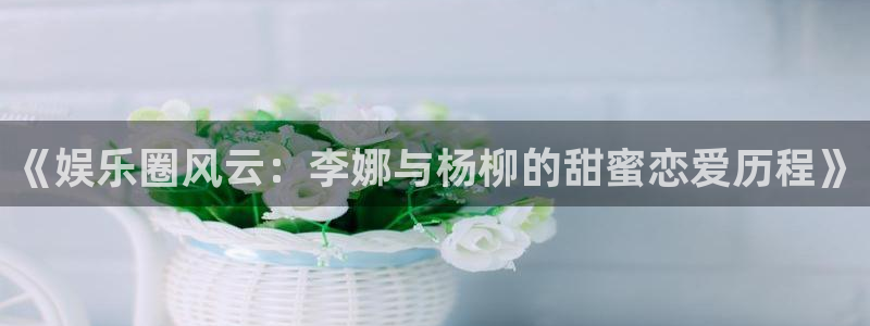 百达娱乐